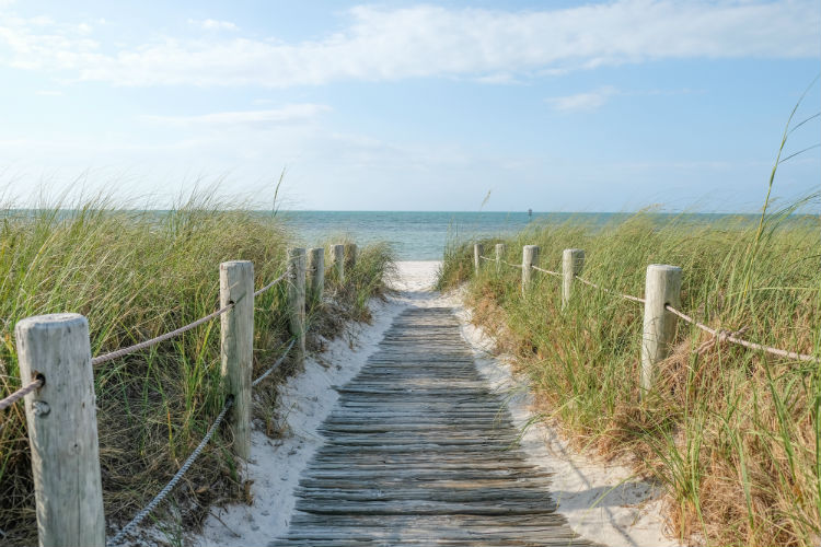 Boardwalk going to the beach